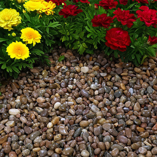 20-30mm Scottish Pebbles